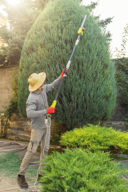 Best Lawn Drainage Solutions  in Port Jefferson Station, NY